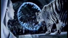 poster-9363-bouygues-telecom-la-dompteuse-236x132