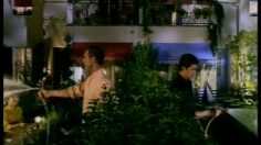 poster-9386-tps-satellite-le-sifflet-236x132