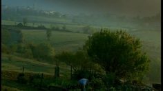 poster-9399-seb-clipso-et-les-carottes-236x132