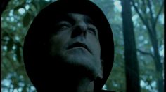 poster-9400-seb-vitasaveur-la-cueillette-aux-champignons-236x132