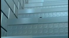 poster-9420-kiss-cool-bonbons-bete-kiss-cool-236x132