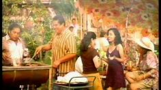 poster-9428-miller-miller-lite-fly-236x132