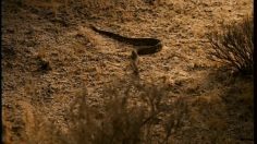 poster-9459-osram-piste-d-atterrissage-236x132