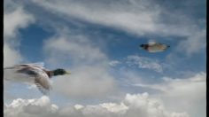 poster-9468-spanish-lottery-parachutist-236x132