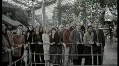 poster-9478-ada-chouchou-236x132