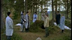 poster-9521-netcom-ours-236x132