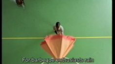 poster-9532-condor-airlines-compagnie-aerienne-l-annee-prochaine-236x132