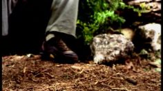 poster-9559-motorola-snakes-236x132