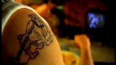 poster-9586-tabasco-sauce-pimentee-chien-236x132