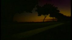 poster-9587-fiat-marea-turbo-le-radar-236x132