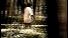 poster-959-volkswagen-golf-runner-236x132