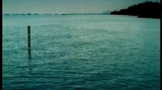 poster-9590-planet-fitness-tide-236x132