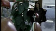 poster-960-volkswagen-golf-hairdresser-236x132