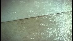 poster-9607-american-hot-gym-la-savonnette-236x132