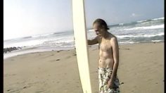 poster-961-volkswagen-combi-surfer-236x132