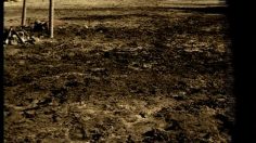 poster-9611-hepatalgina-afrique-236x132