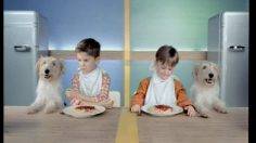 poster-9613-heinz-ketchup-chiens-236x132