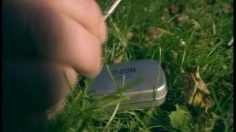 poster-9635-ozon-cool-mints-pizza-hunt-236x132