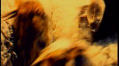 poster-9660-nedbank-lion-236x132