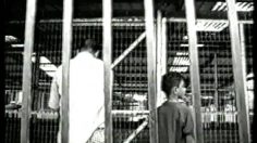 poster-9675-anti-exclusion-aide-aux-handicapes-pet-shop-236x132