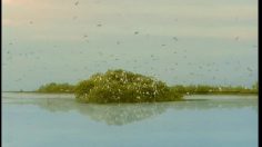 poster-9687-les-iles-de-guadeloupe-tourisme-une-idee-du-paradis-236x132