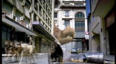 poster-9688-rexona-le-geant-aux-pieds-odorants-236x132