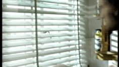 poster-9764-volkswagen-golf-robe-236x132