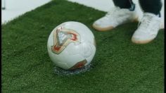 poster-9803-adidas-world-cup-2002-barthez-236x132