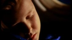 poster-9825-air-france-compagnie-aerienne-le-petit-prince-236x132