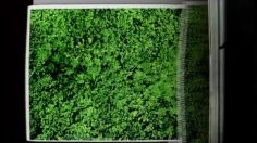 poster-9839-protection-environnement-copies-236x132