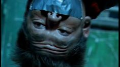 poster-9910-ccaa-ecole-de-langue-anglaise-dynamite-236x132