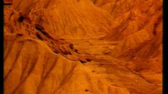 poster-9918-ucar-alkaline-batteries-plante-dans-le-desert-236x132