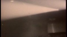 poster-9946-scandinavian-underwear-co-bjorn-borg-le-concert-236x132