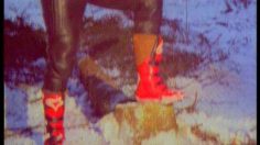 poster-9948-channel-4-chainsaw-world-championship-236x132