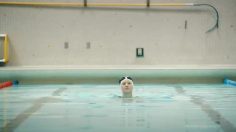 poster-25663-movember-sante-masculine-swimming-236x132