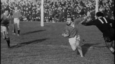 poster-25673-guinness-munster-236x132