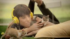 poster-25683-purina-tidy-cats-kitten-therapy-the-prescription-for-stress-236x132