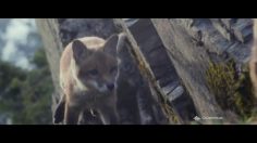 poster-25688-quechua-doudoune-x-light-on-a-tous-besoin-de-chaleur-236x132