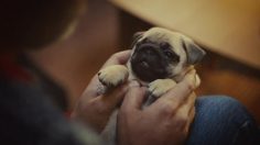 poster-25759-mcvitie-s-victoria-christmas-choir-236x132