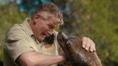 poster-25777-1-800-contacts-snake-236x132