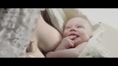 poster-25851-plain-milch-mutter-236x132