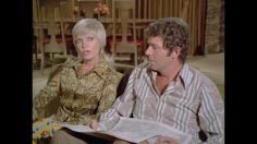 poster-25903-snickers-the-brady-bunch-236x132