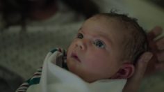 poster-25913-nissan-maxima-with-dad-236x132