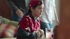 poster-25933-nfl-national-football-league-together-we-make-football-236x132