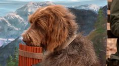 poster-25949-mars-miami-vice-236x132