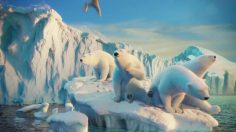 poster-26011-coca-cola-tale-of-contour-236x132