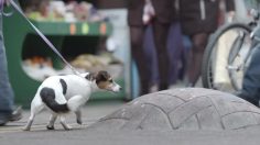 poster-26034-cancer-research-uk-lump-236x132