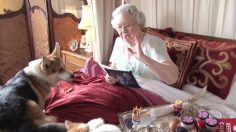 poster-26039-the-body-shop-the-queen-a-royal-home-video-236x132