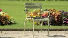 poster-26051-wilkinson-wilkinson-sword-the-lonely-chair-236x132