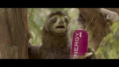 poster-26153-miami-ad-school-espm-sloth-236x132